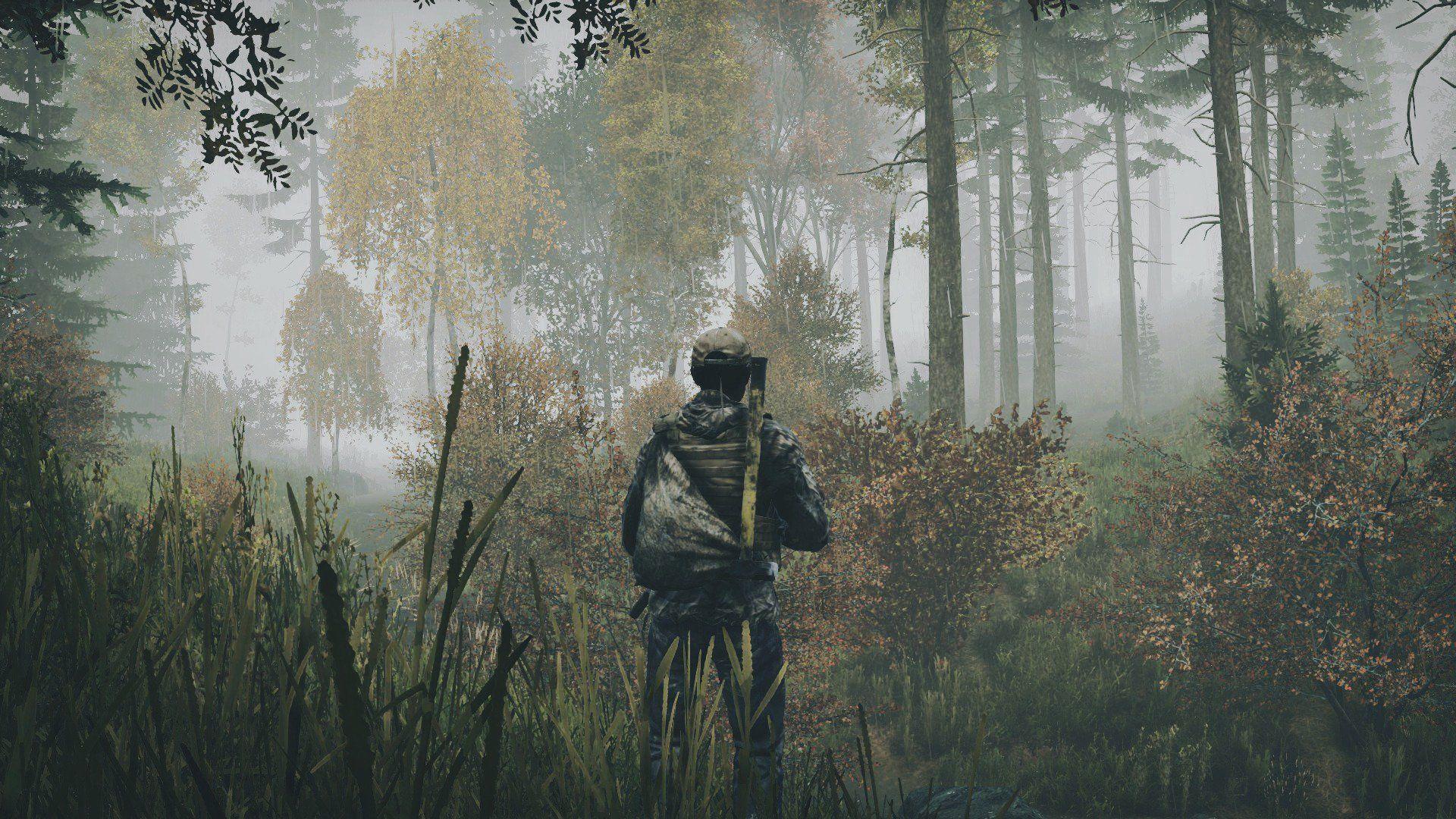 DayZ